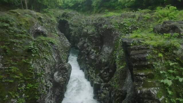 240422_miyazaki_0218