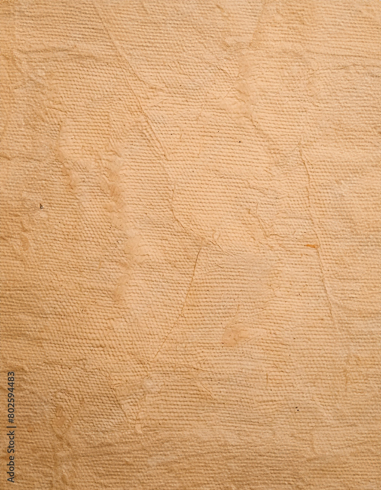 Poster close-up view of a light-colored wooden surface, displaying the natural grain and texture. lines and