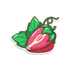 hand draw strawberry fruit illustration art

