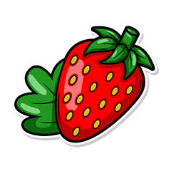 Obraz premium hand draw strawberry fruit illustration art