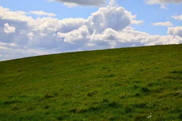 Grassy hill on a summer day