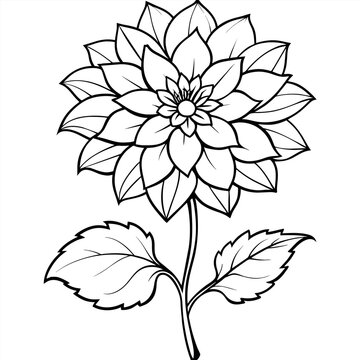 recommend clip art: Dahlia flower plant outline illustration coloring book page design, Dahlia flower plant and white line art drawing coloring book pages for children and adults