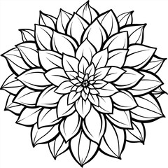 Dahlia flower plant outline illustration coloring book page design, Dahlia flower plant and white line art drawing coloring book pages for children and adults