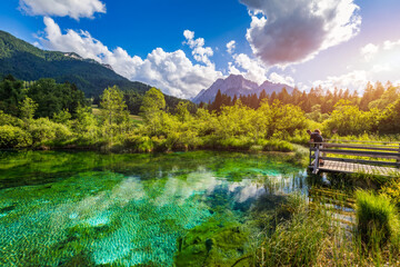 Wonderful view of Zelenci nature reserve in Slovenia. Nature reserve Zelenci, Krajnska Gora,...