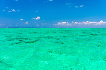 Water surface in vibrant green. View of a crystal clear sea water texture. View natural sea water, green background. Green water reflection. Green ocean wave.