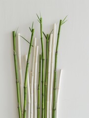 Fototapeta premium Celebrating Biodiversity with Artistic Asparagus and Bamboo Composition Studio Shot - International Day