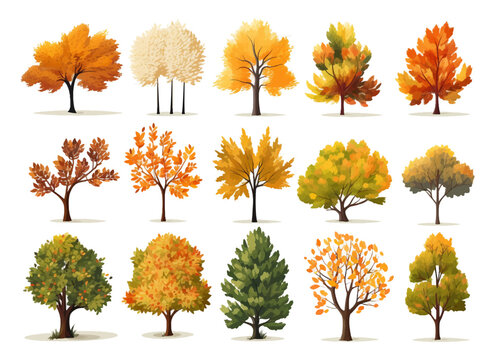 Watercolor hand drawn set with illustration of autumn colorful deciduous trees isolated on white background. Collection of red, yellow, orange autumn season trees in summer day