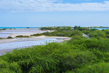 coastal salt flats at cabo rojo wildlife refuge in puerto rico