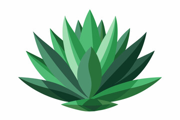 aloe vera plant vector art illustration