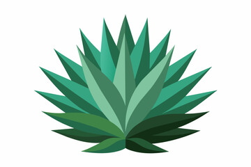 aloe vera plant isolated vector art illustration