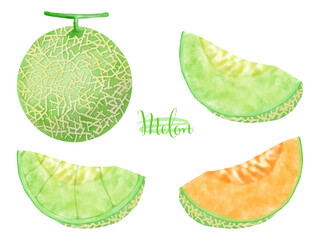 いろんな種類のメロンの水彩手描きイラストセット