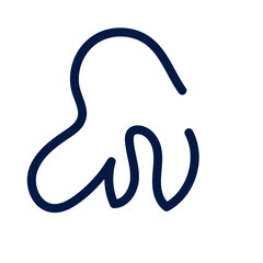 Abstract shapes squiggle lines vector 