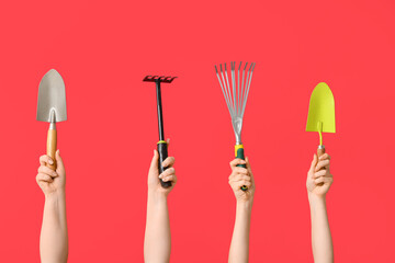 Female hands with gardening rakes and shovels on red background