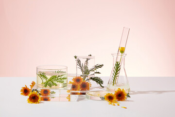 Collection of podiums in geometric shapes arranged with Calendula flowers and glassware. Pastel...