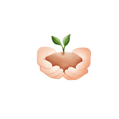 plant in hands