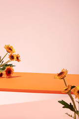 A surface in orange color decorated with a lot of beautiful Calendula flower branches over the pastel background. Empty space to show your product that extracted from Calendula flower