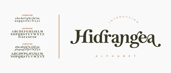 Hidrangea Elegant Font Alphabet Uppercase Lowercase and Number. Classic Lettering Minimal Fashion Designs. Typography modern serif fonts regular decorative vintage concept. vector illustration
