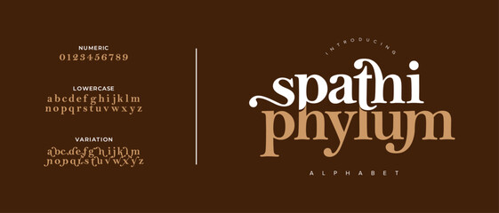 Phylum Elegant Font Alphabet Uppercase Lowercase and Number. Classic Lettering Minimal Fashion Designs. Typography modern serif fonts regular decorative vintage concept. vector illustration