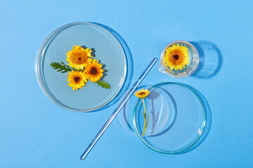 Laboratory concept with several glassware containing liquid of Calendula flowers and yellow...