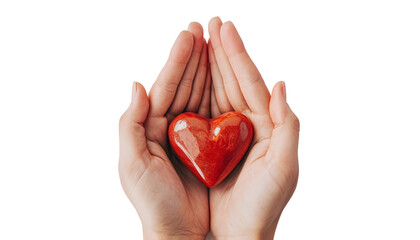 Hand of woman holding red heart shape, showing symbol of love, isolated on transparent background
