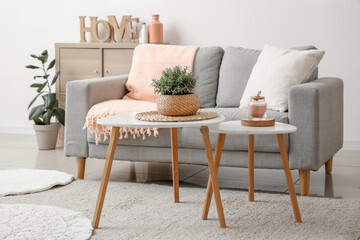 Interior of modern stylish living room with grey sofa and plaid