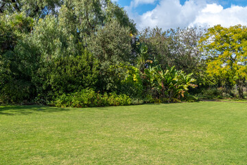 Background texture of a vacant green lawn with a variety of beautiful plants and trees in the background, bathing in the natural sunlight.