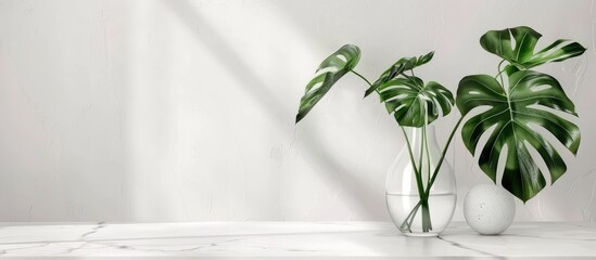 Tropical palm leaves of a Monstera plant displayed in a glass vase on a white table, with a front view and room for text