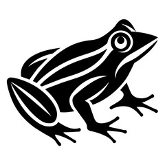 frog on white background