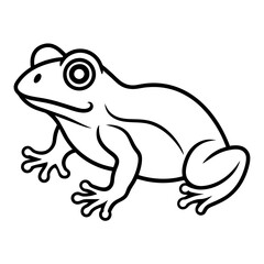 frog isolated on white