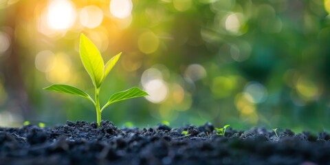 Experience growth with mentorship from a qualified specialist