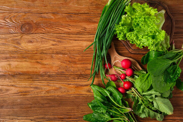 Composition with fresh radish and herbs on wooden background