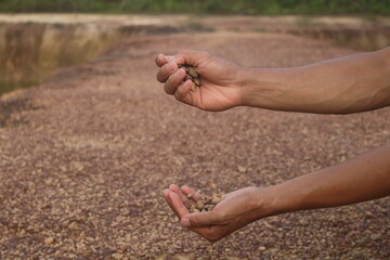 Red gravel. small red pebbles. Can be used for natural aquariums with red brown color. contained in and plains of red soil