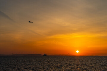 朝の海と空と飛ぶ鳥20240502
