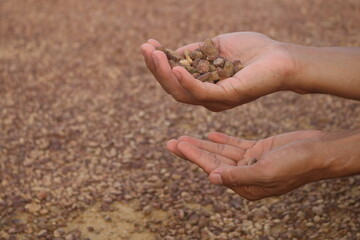 Red gravel. small red pebbles. Can be used for natural aquariums with red brown color. contained in and plains of red soil