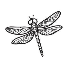 Line art of dragonfly isolated on white background vector