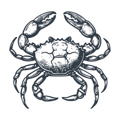 Crab seafood woodcut drawing vector
