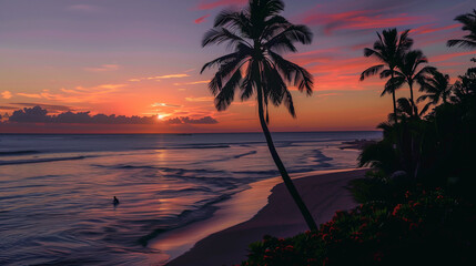 sunset over the sea