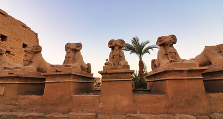Close up of the Ram Headed Sphinxes lining the entrance path to the Karnak temple complex dedicated...