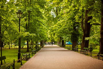A cozy European park in the center of Krakow. Tourists walk and enjoy a summer evening in a lush park in Poland.