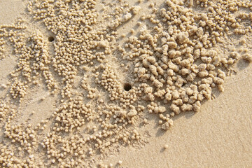 Hole of ghost crab or ocypode on brown sand beach top view background