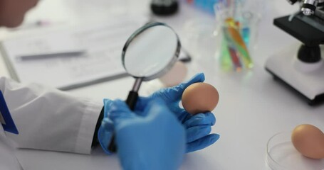 Scientist holding a brown egg magnifying glass in a laboratory for research purposes
