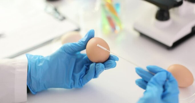 Scientist holding brown egg and swab in laboratory for research purposes - Powered by Adobe