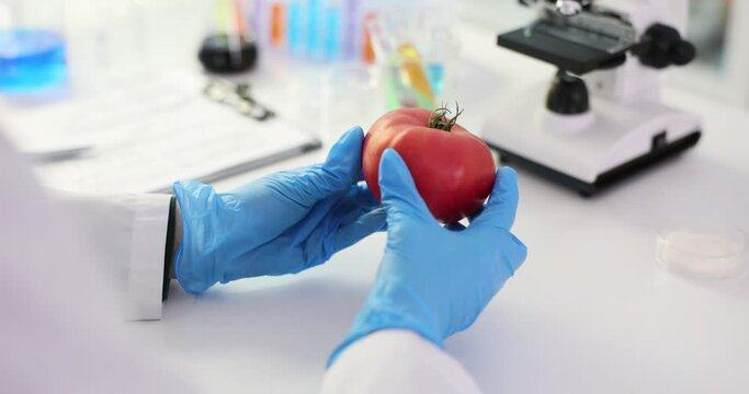 Tomato analysis for quality control and tomato quality certification