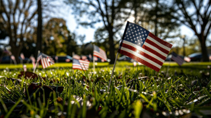 American flags on grass field during daytime