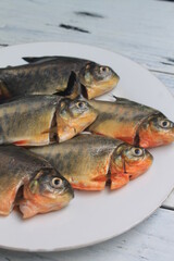 5 raw pomfret in a white plate on the table

