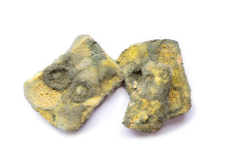 A huge mold blooms and grows on a piece of old bread on a white background. High quality photo