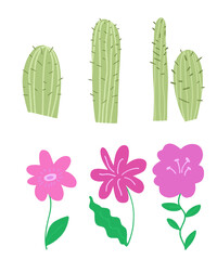 Set of flower and cactus