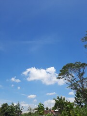 sky and trees