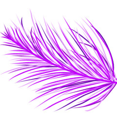 Obraz premium feather on purple background