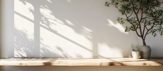 Background table with empty space in a kitchen setting. The white wall casting shadows during a sunny and warm morning. Provides space for your own creative composition.